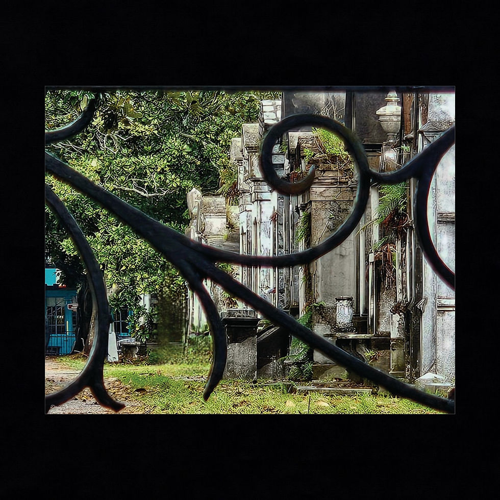 Thumbnail: Lafayette Cemetery #1