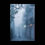 Thumbnail: Poster: Foggy Pirates Alley, French Quarter.