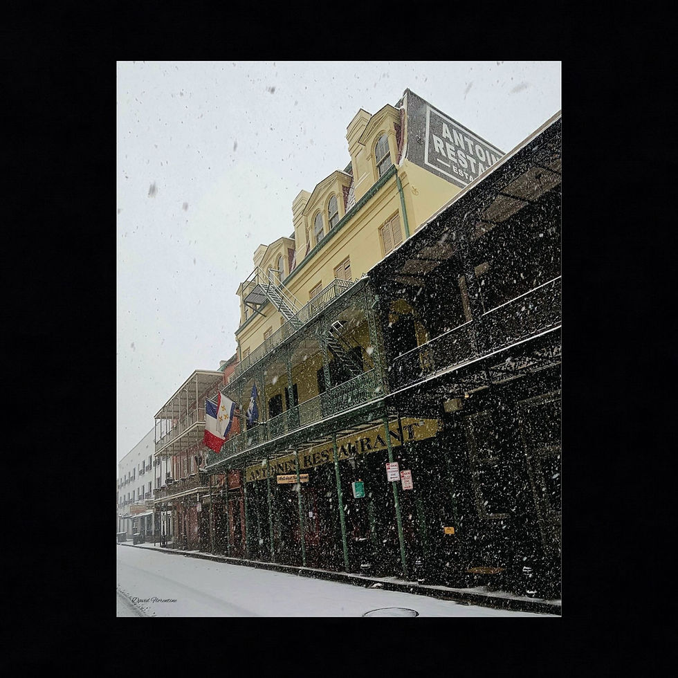 Thumbnail: Antoine's Restaurant - New Orleans Historic 2025 Blizzard 