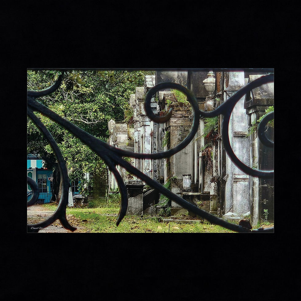 Thumbnail: Lafayette Cemetery #1
