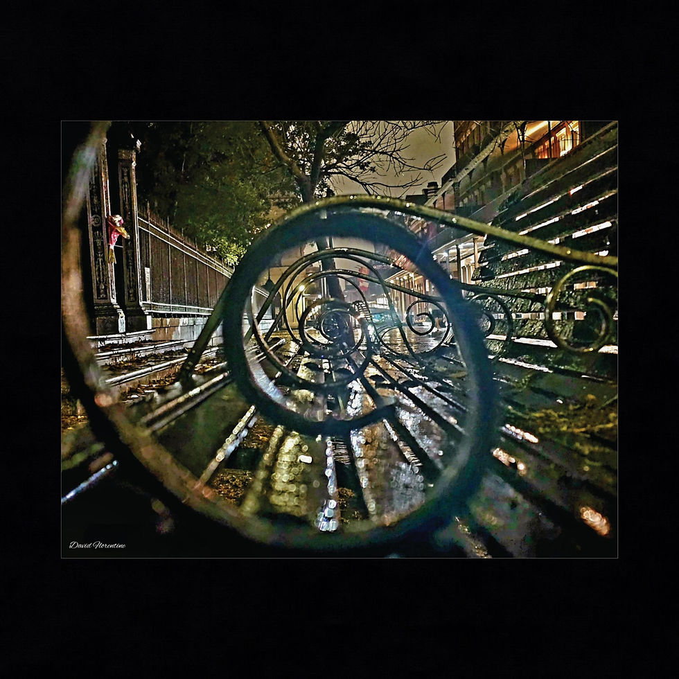 Thumbnail: Through The Eyes of The Iron Benches, Jackson Square, New Orleans.