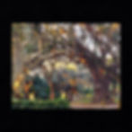 Thumbnail: Spanish Moss Adorned Live Oak Trees in City Park New Orleans