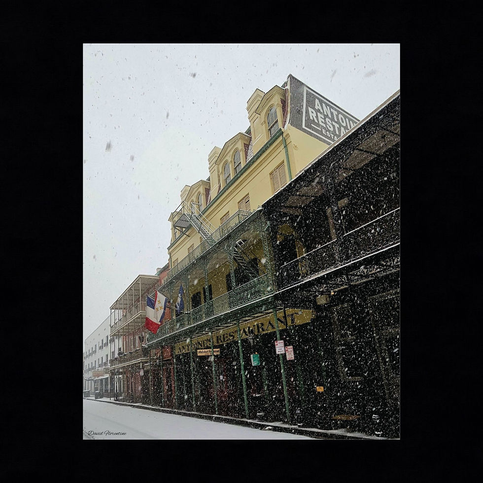Antoine's Restaurant - New Orleans Historic 2025 Blizzard 