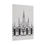 Thumbnail: Historic St Louis Cathedral - New Orleans Historic 2025 Blizzard