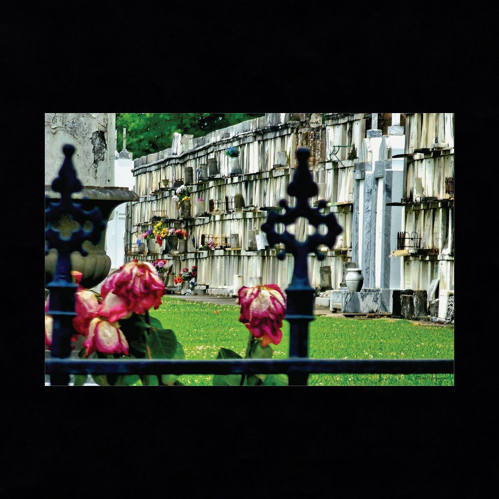 Thumbnail: St Louis Cemetery #3
