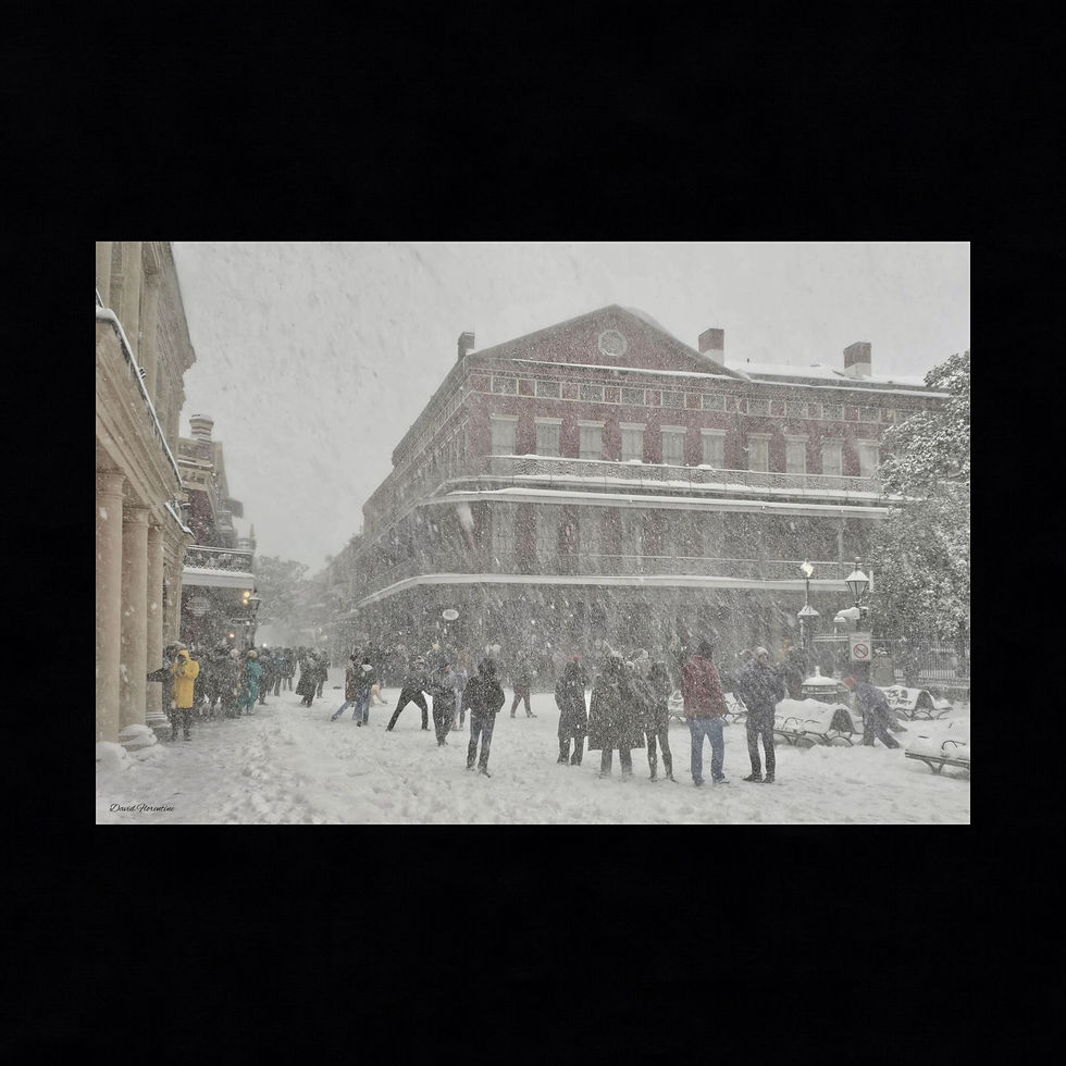 Snowball Fight In Jackson Square - New Orleans Historic 2025 Blizzard