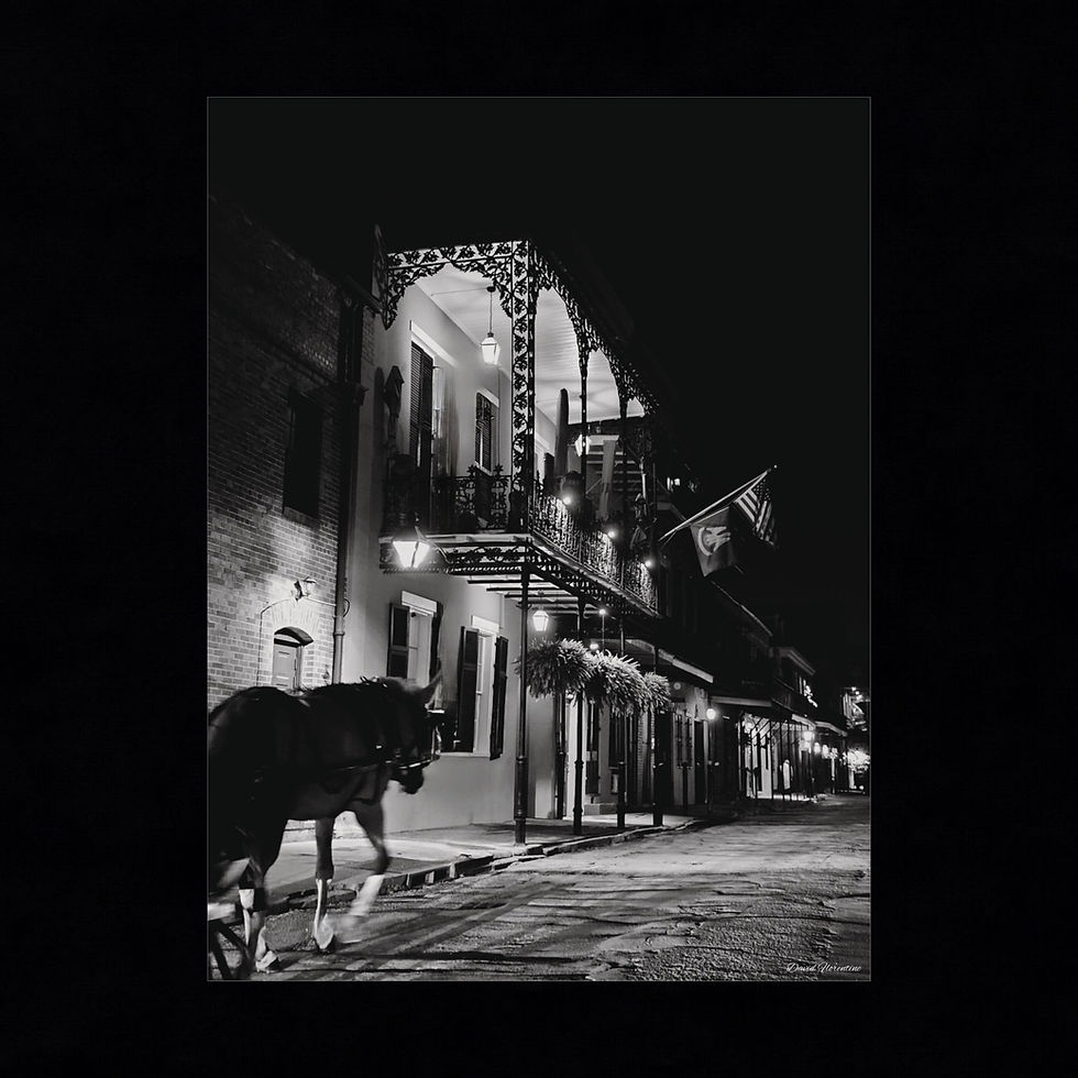 Thumbnail: Mule Drawn Carriage Down Chartres Street 