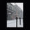 Thumbnail: Snowy Royal Street - New Orleans Historic 2025 Blizzard 
