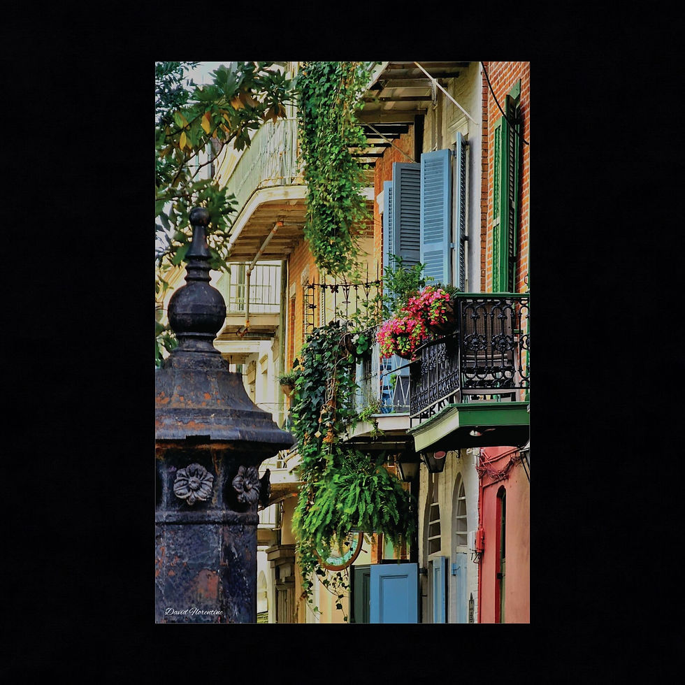 Colorful Pirate's Alley, French Quarter