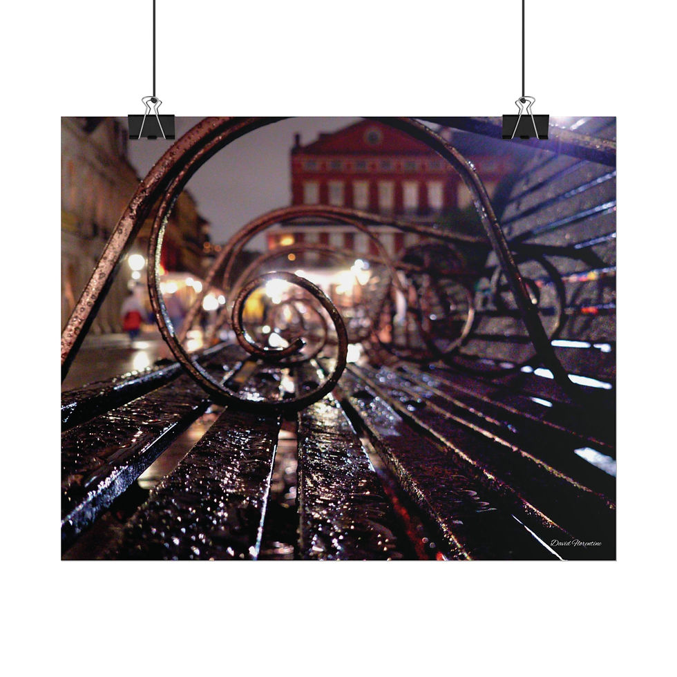 Thumbnail: Through The Eyes of The Iron Benches, Jackson Square, New Orleans.