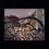 Thumbnail: Through The Eyes of The Iron Benches, Jackson Square, New Orleans
