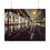Thumbnail: Through The Eyes of The Iron Benches, Jackson Square, Pontalba Apartments
