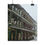 Thumbnail: Winter Wonder Land On Royal Street - New Orleans Historic 2025 Blizzard