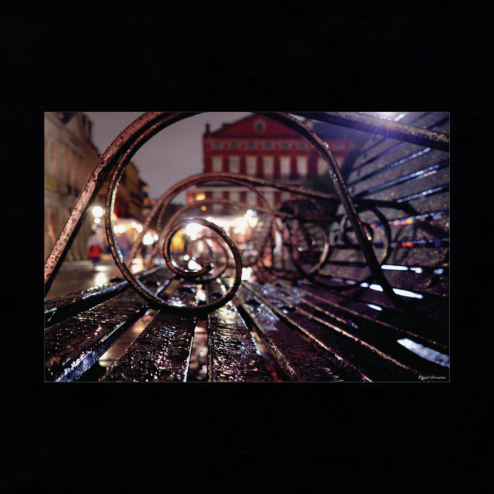 Thumbnail: Through The Eyes of The Iron Benches, Jackson Square, New Orleans.