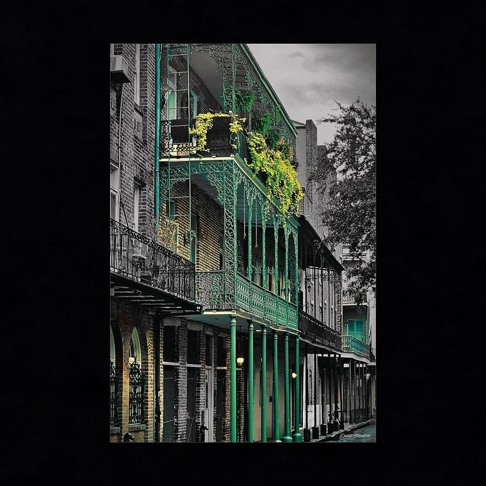 French Quarter Balconies - Madison Street with a pop of green!