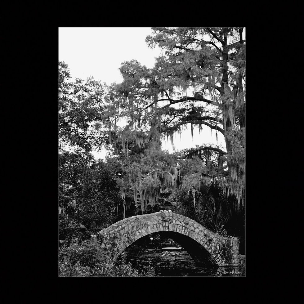 Thumbnail: Langles Bridge, City Park, Black and white