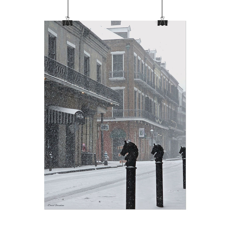 Thumbnail: Snowy Royal Street - New Orleans Historic 2025 Blizzard 