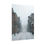 Thumbnail: French Quarter Snow Covered Roads - New Orleans Historic 2025 Blizzard