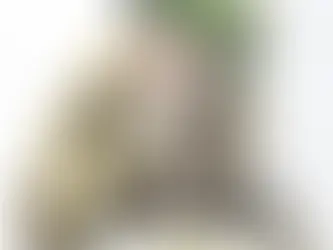 לקראת שחרור מהצבא עם חרדות לגבי העתיד?