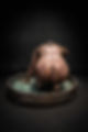 Thumbnail: The Tub