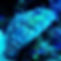 IMG_2370.jpeg