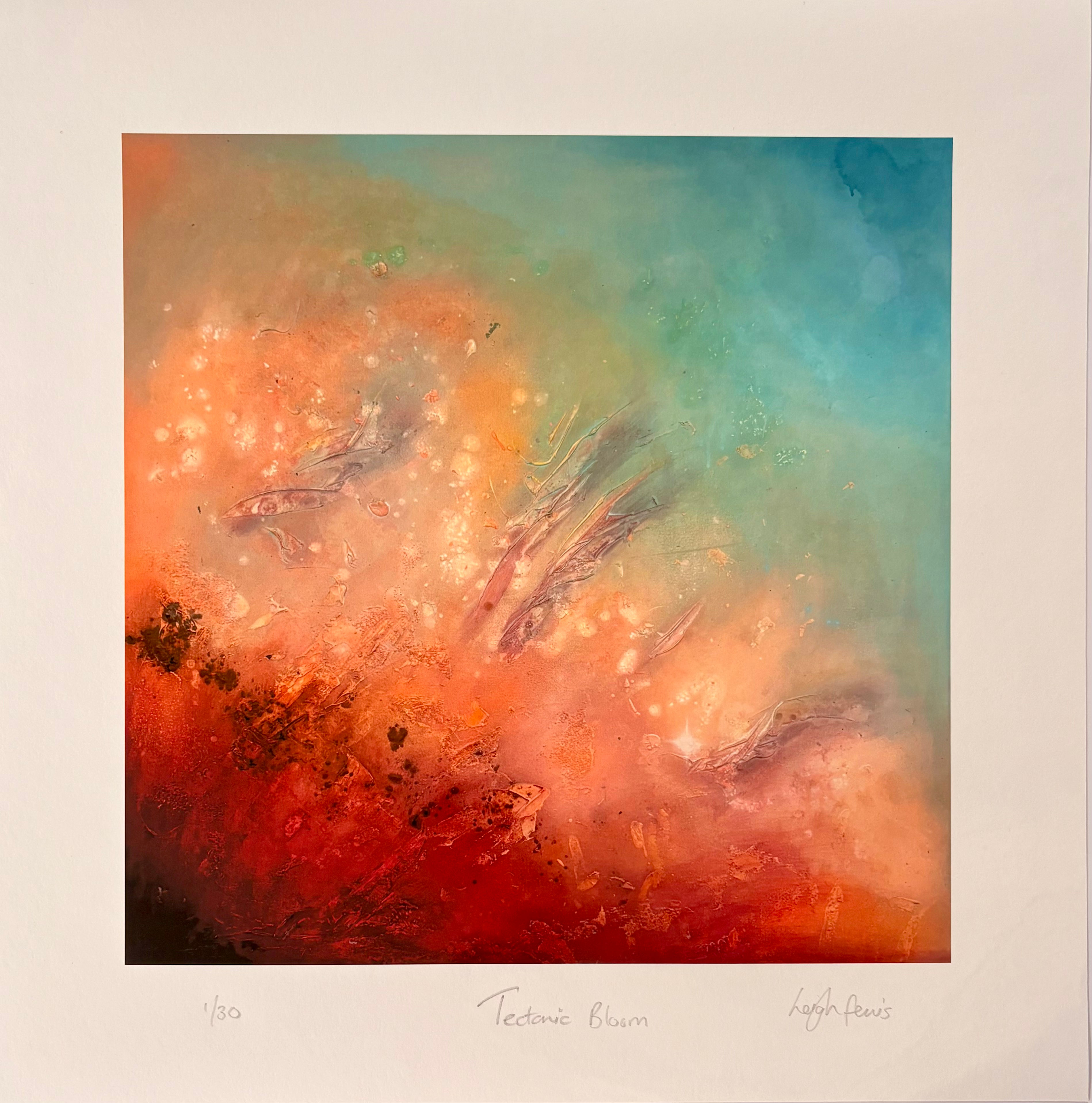Ltd Edition print - Tectonic Bloom