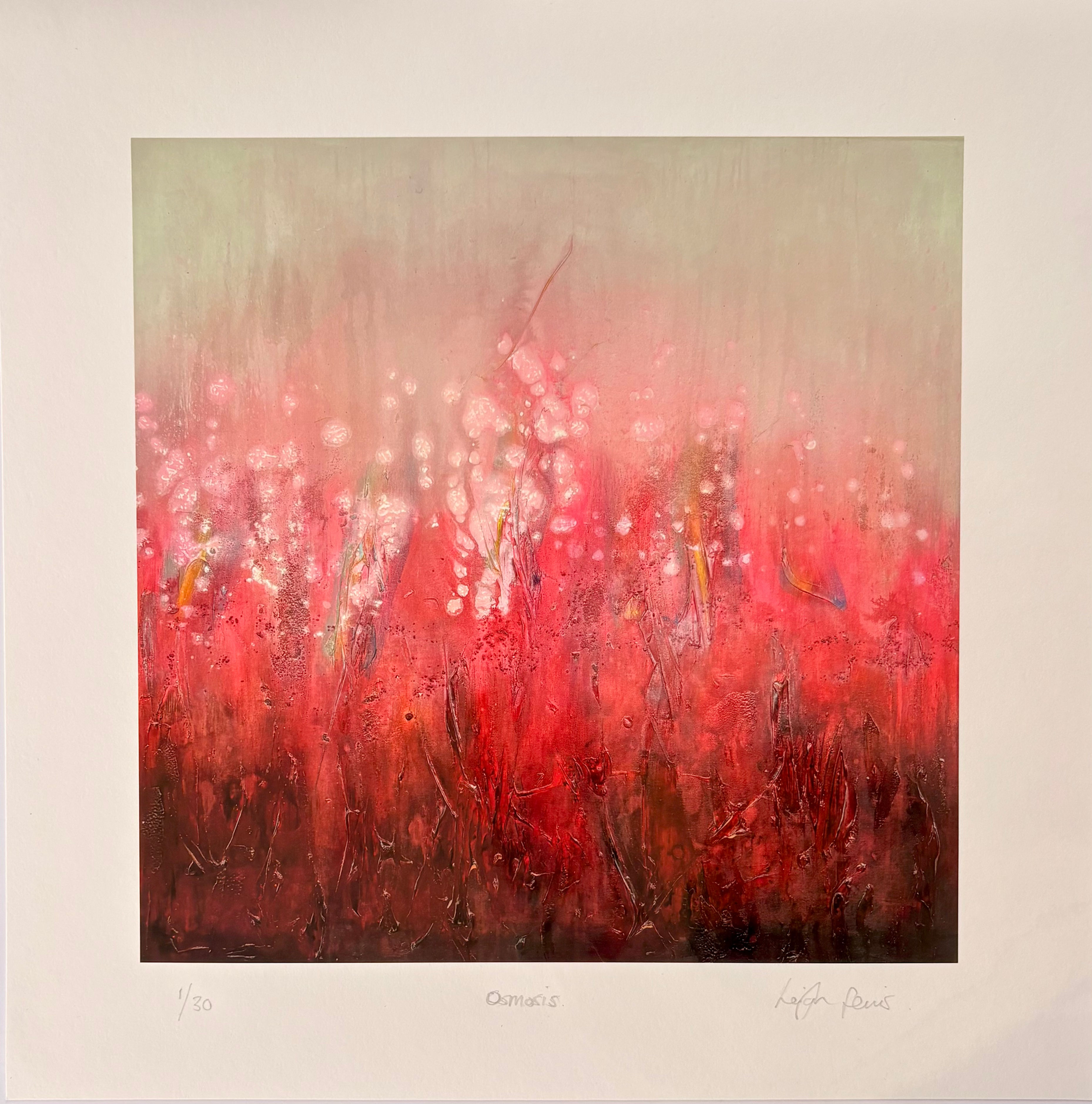 Ltd Edition Prints - Osmosis 