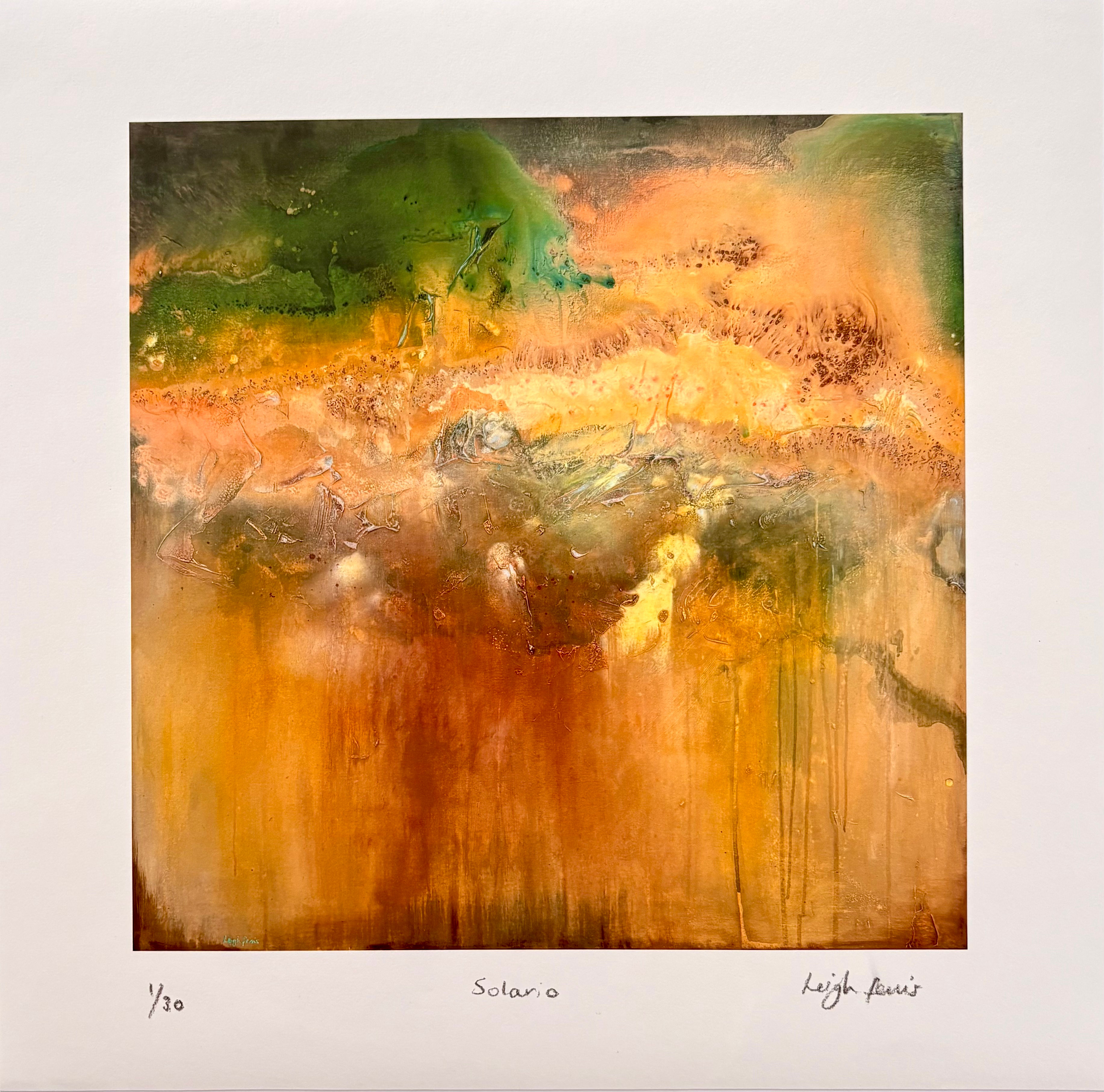 Ltd edition print- Solario