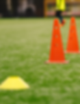 PPTC Stock Photo (2).png