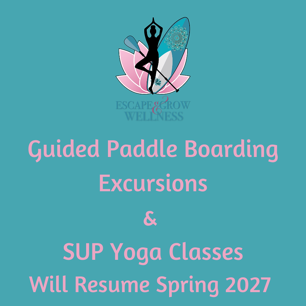 Stand Up Paddle Boarding Excursions & Yoga Classes