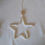Miniature : étoile blanche