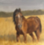 Nemy, Oil on Canvas, 2023