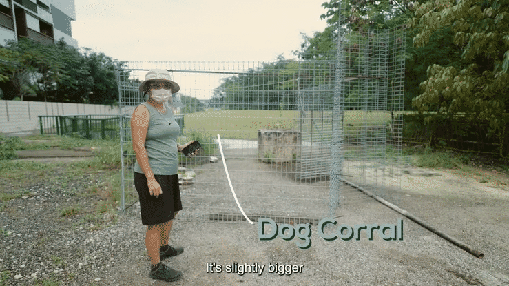 Behind the profession - Dog Trapper