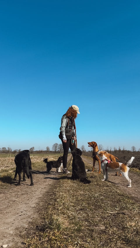 Dogwalking in Kirchheim bei München
