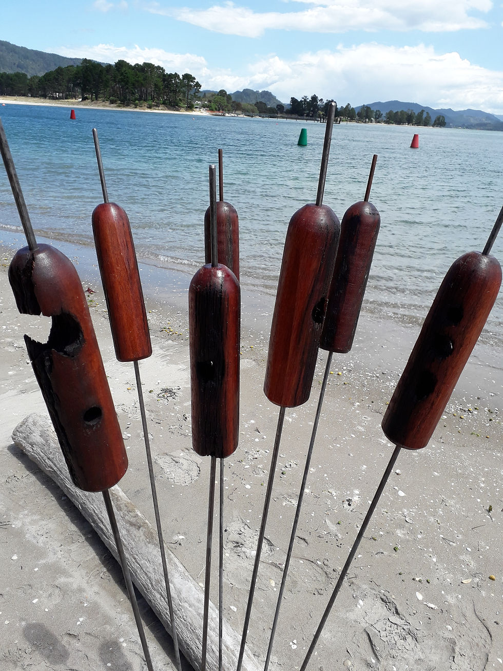 Thumbnail: Amazing Jarrah Bullrushes