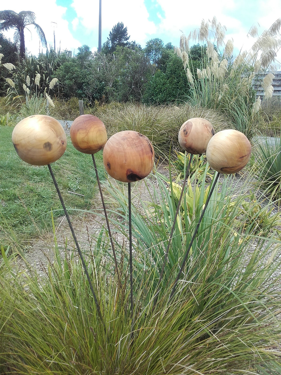 Thumbnail: Awesome Macrocarpa Orbs
