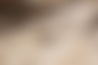 Taureaux et caniveau