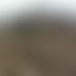 LEADERS RUN TOWARD CHAOS AND DON’T SEEK OTHERS TO UNDERSTAND OR APPROVE