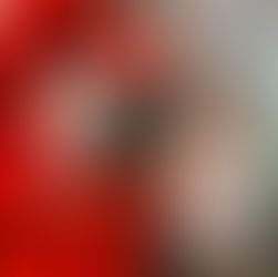 ALWAYS VIDEOTAPE PARTNERS & CLIENTS SIGNING ANY CONTRACT AND SAYING THEY UNDERSTAND FULLY