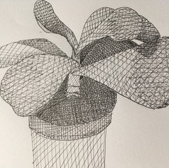 Day 3