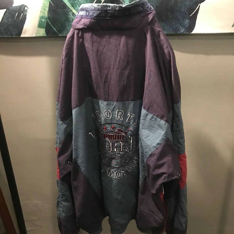 縮圖：PUMA 3