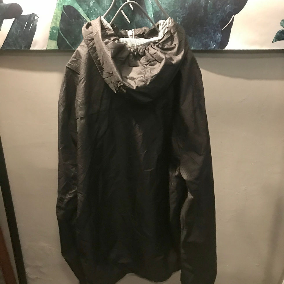 縮圖：PUMA 2