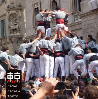Vols aixecar un 3d6 el 19 de nov?