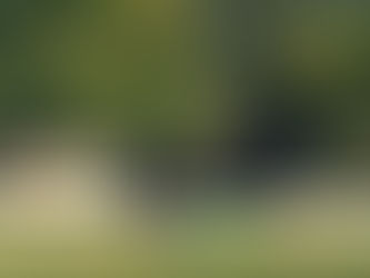 No pude, no escribir.