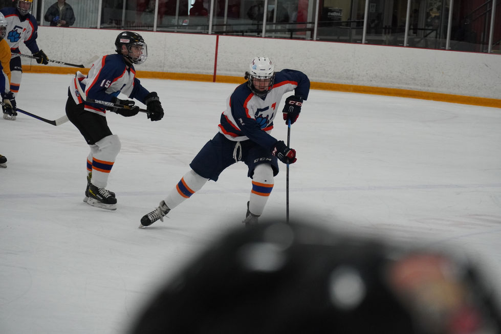 Hockey 3
