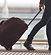 Person Rolling Suitcase in Airport