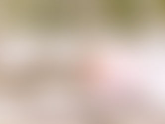 Champú sólido, la opción más sostenible