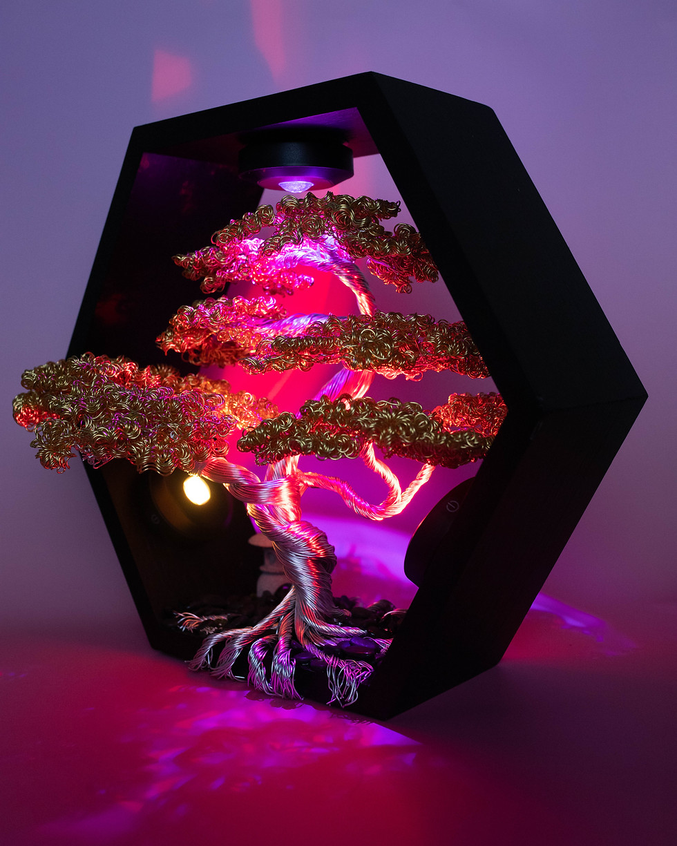 Thumbnail: Illuminated Gold & Silver Wire Bonsai in Hexagon Frame