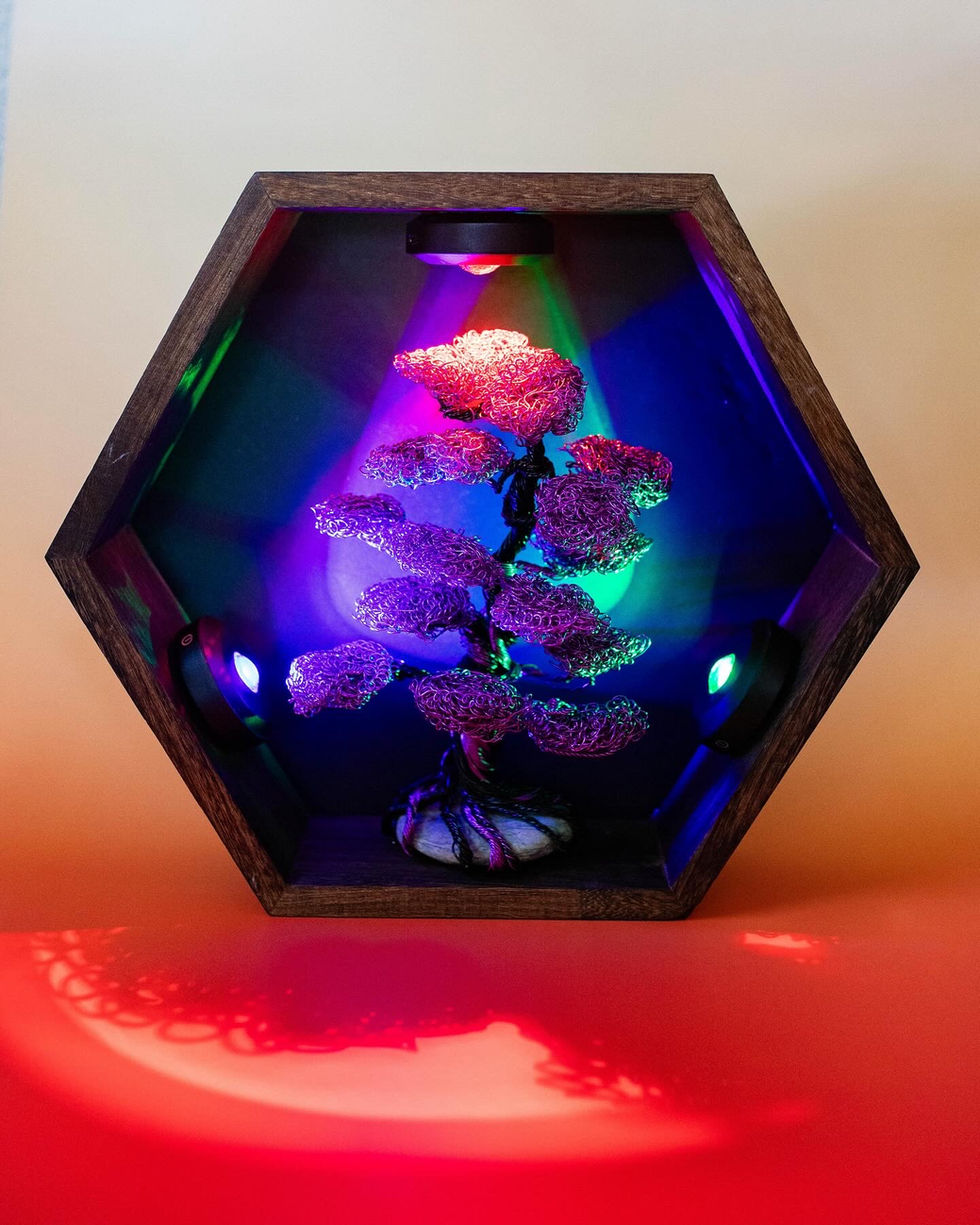 96BD725B-559D-4763-A9C2-690B43C172A1