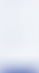 Accessibility Widget screen from AccessiBe